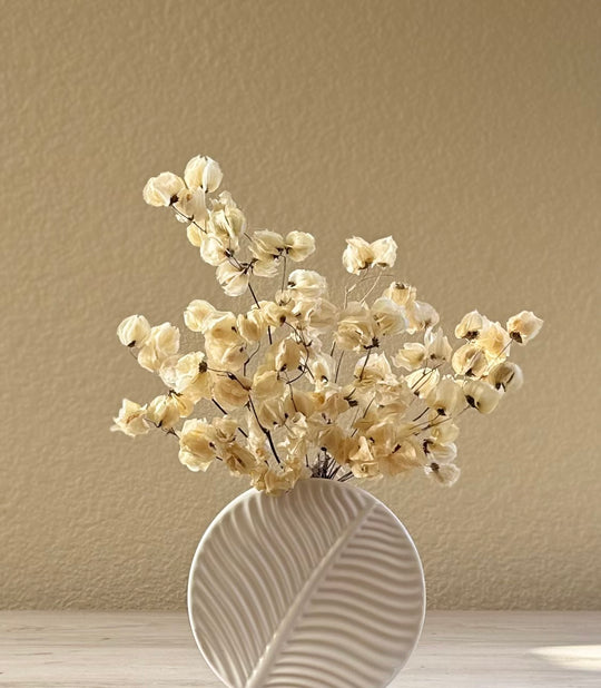 Ivory dried flower arrangement in ceramic vase