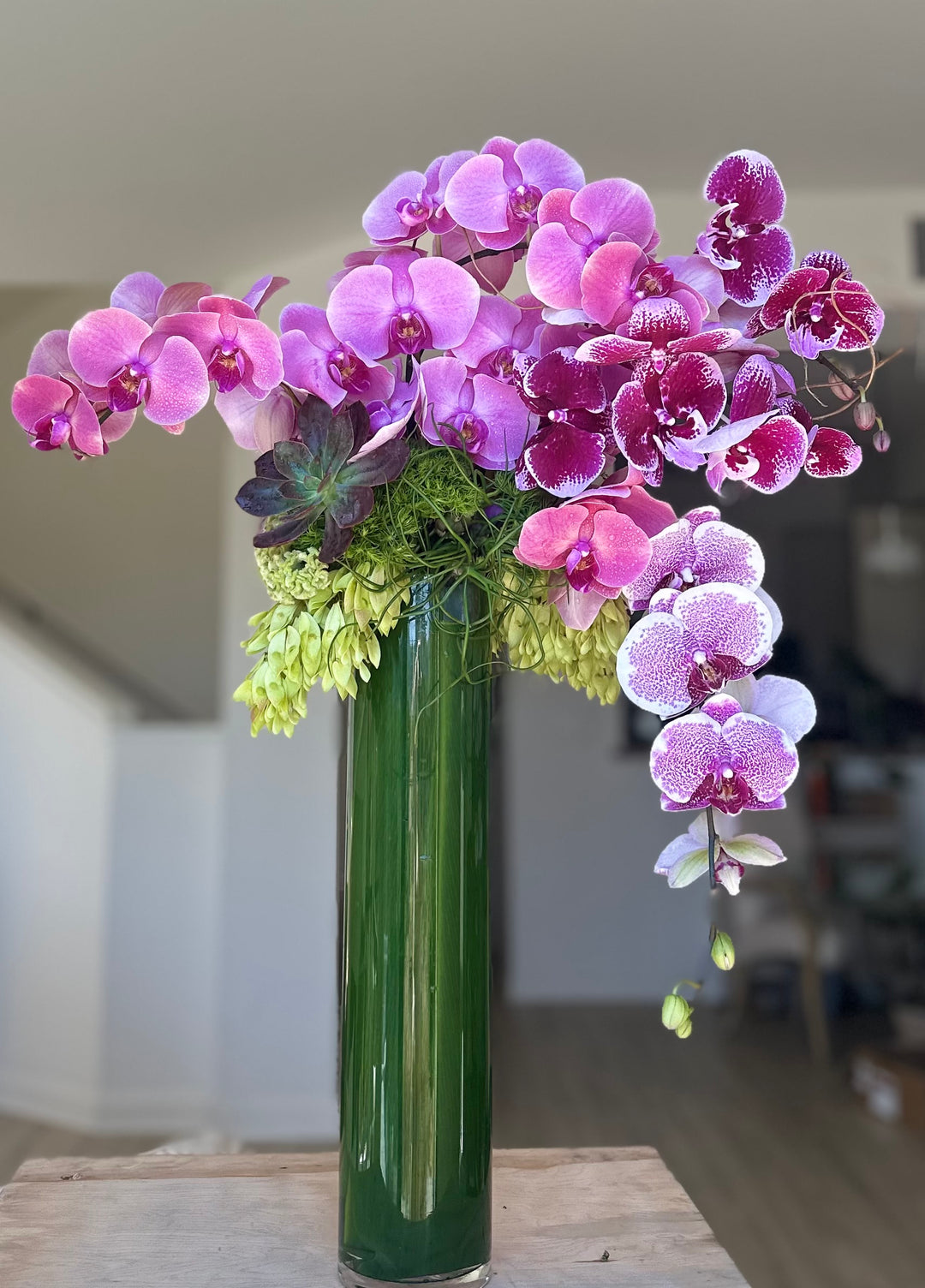 Exquisite Orchids - New!