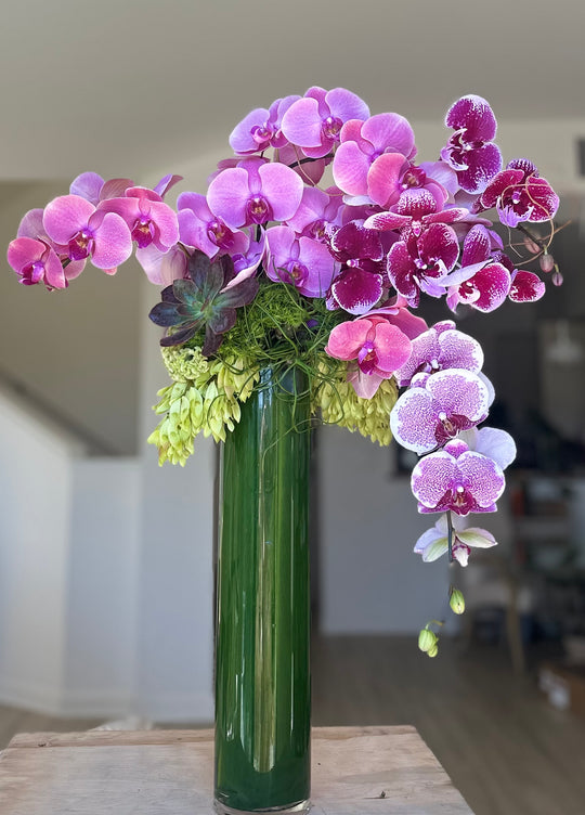Exquisite Orchids - New!