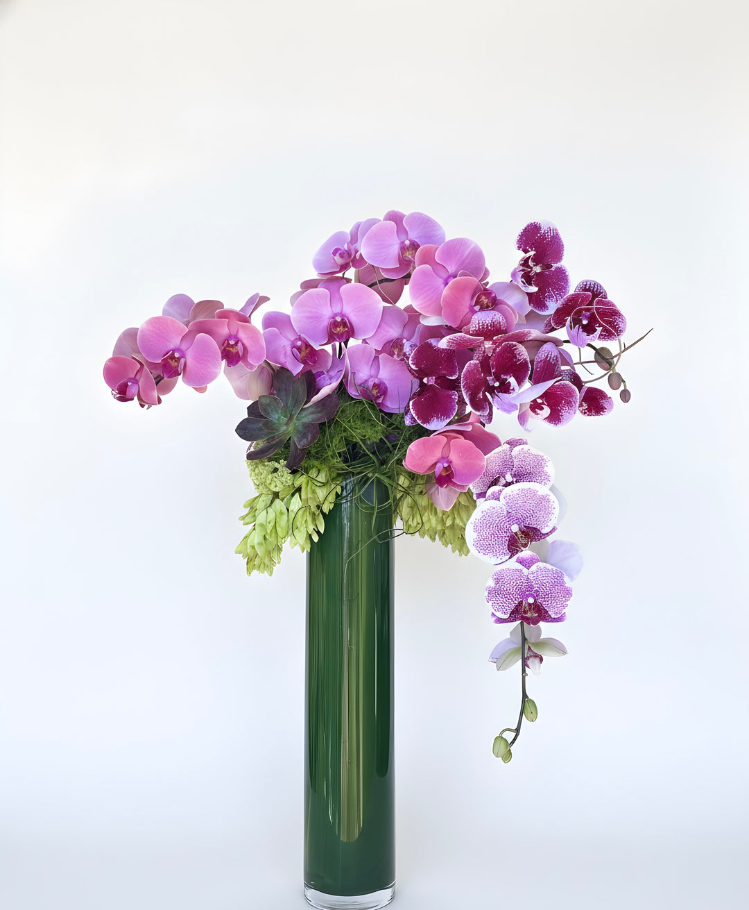 Exquisite Orchids - New!