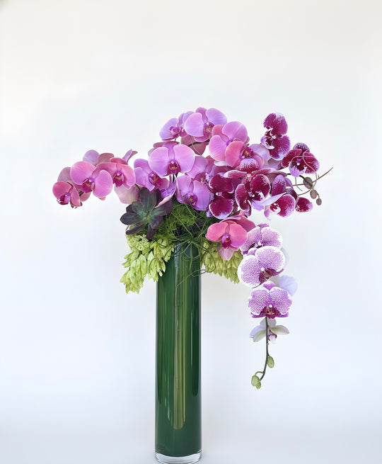 Exquisite Orchids - New!