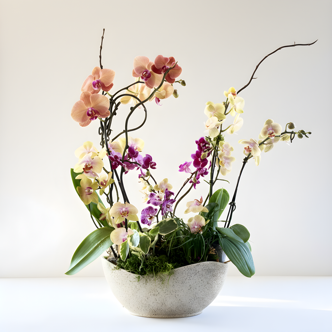 Exquisite Orchid Garden