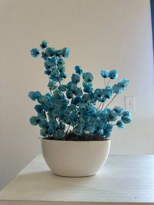 Mo'orea Blue Dried Bougainvillea Arrangement