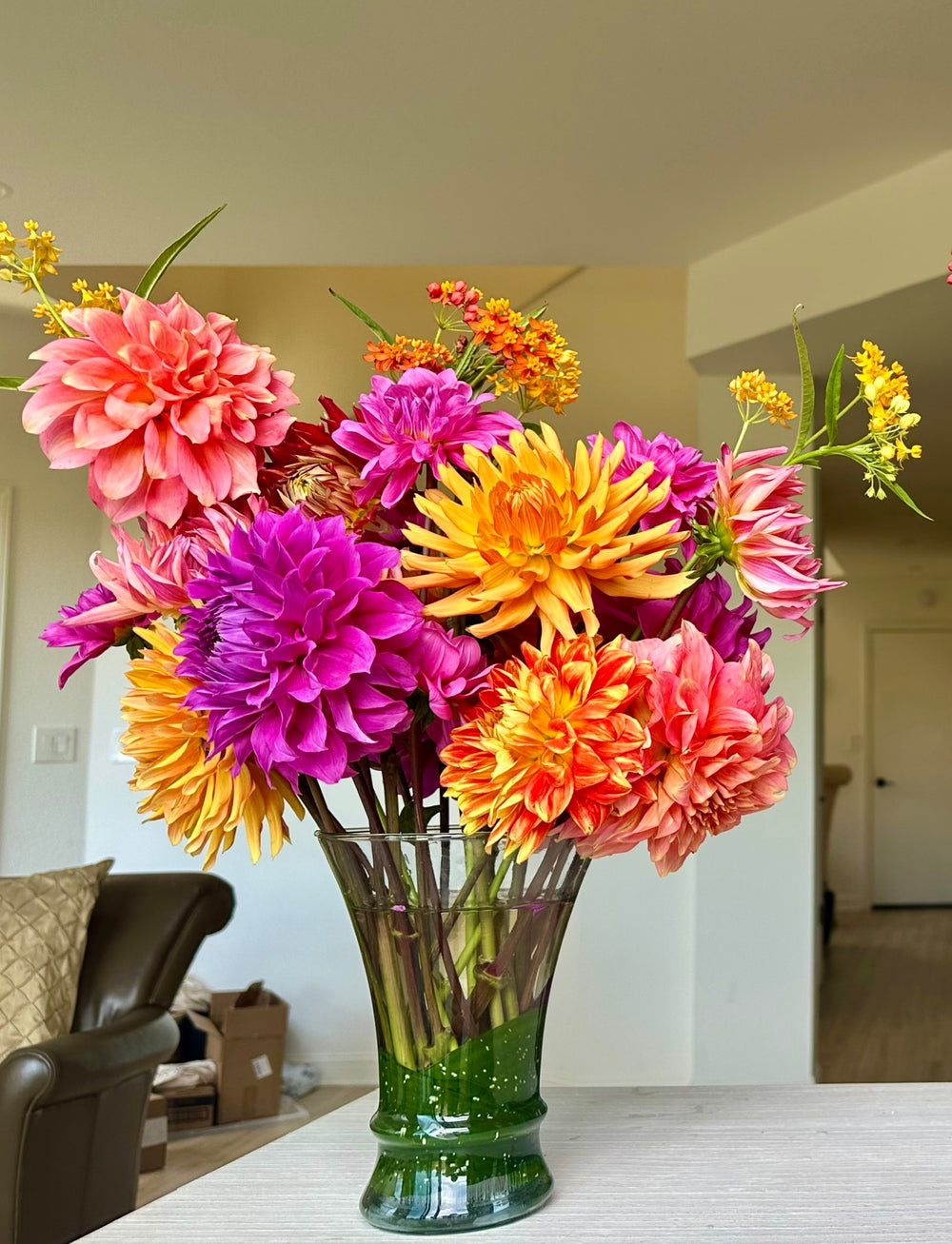 Late Summer Dahlias