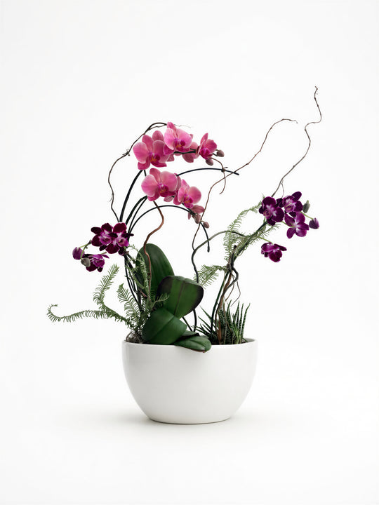 Jewel toned Grand Orchid Garden