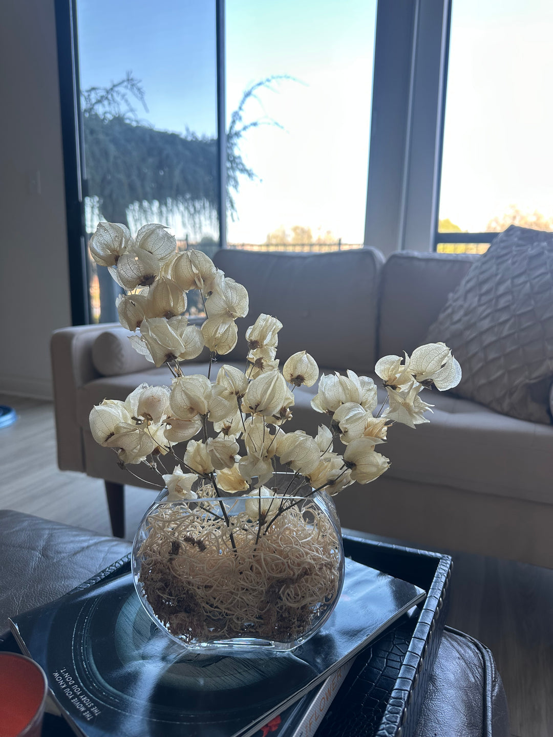 Moon Lantern dried bougainvillea arrangement, alternate view