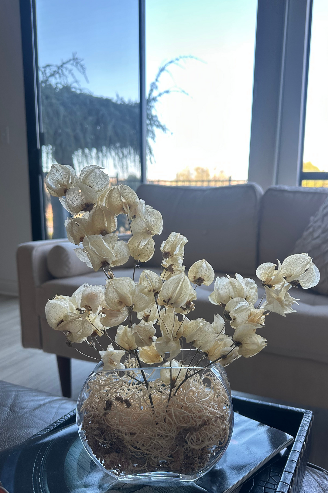 Moon Lantern dried bougainvillea arrangement, alternate view