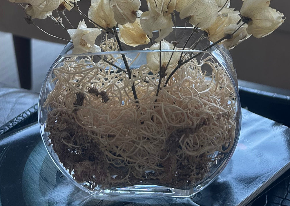 Moon Lantern