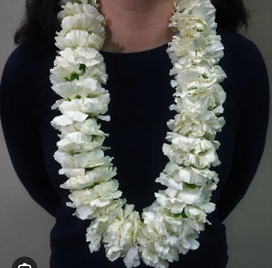 Graduation Leis
