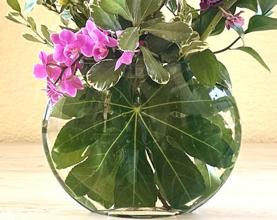 Leaf vase - clear glass moon vase lined with tropical leaves