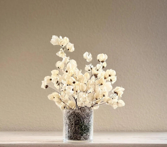 Babylon ivory dried flower arrangement in glass vase - Real Flowers Every Day 