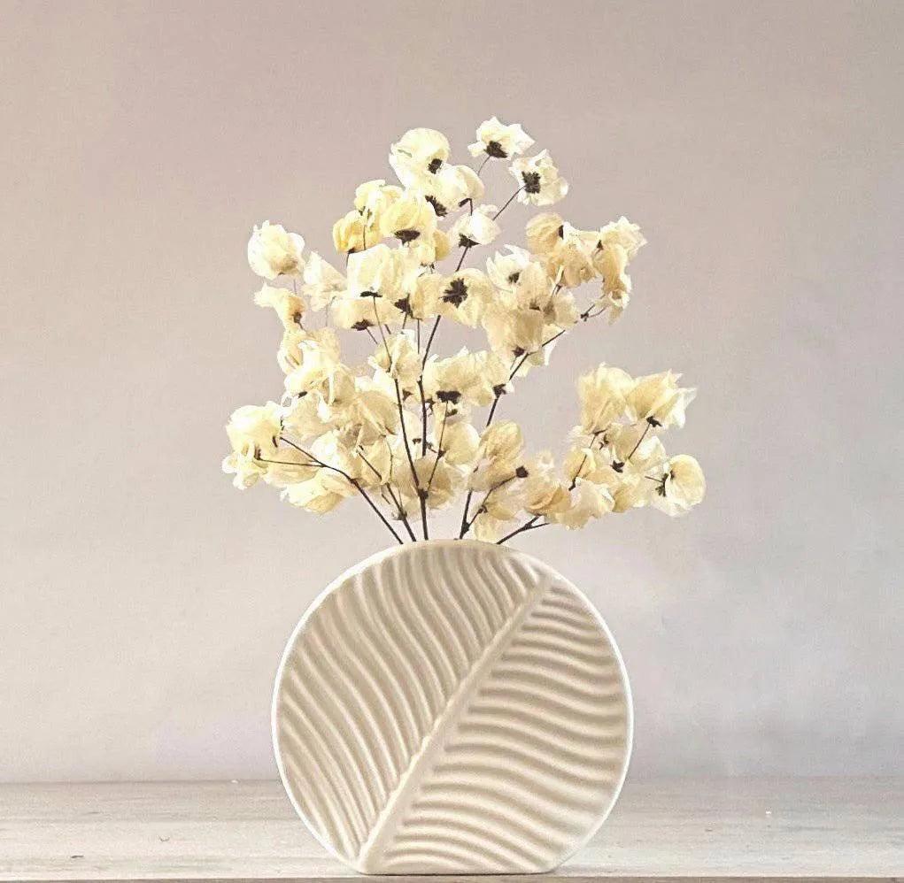 Babylon ivory dried flower arrangement in vase - Real Flowers Every Day 