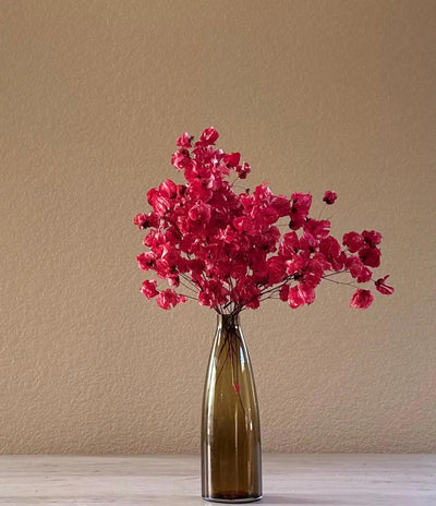 Crimson red dried flower arrangement in amber vase - Real Flowers Every Day 