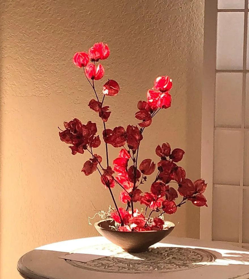 Crimson red dried flower arrangement in wood flower bowl - Real Flowers Every Day 