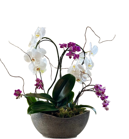 Orchid Garden Grand
