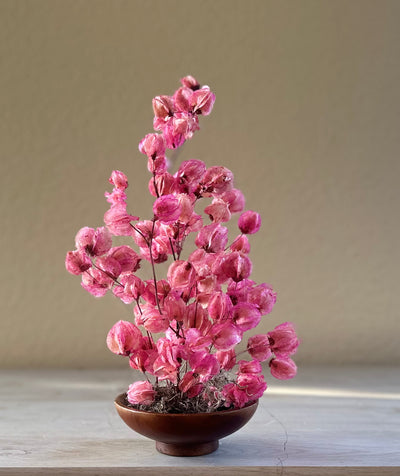 Maiden Lane Dried Flower Arrangement