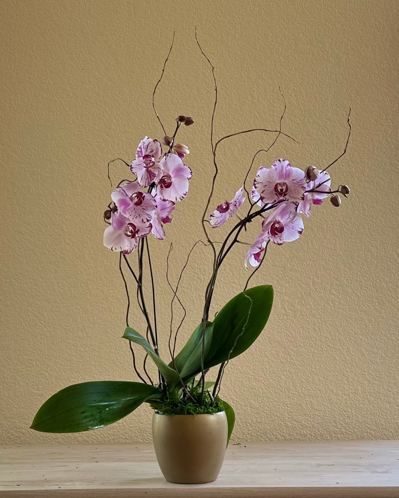 Corporate Arrangements