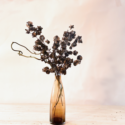 Black onyx dried flower arrangement in amber vase - Real Flowers Every Day 