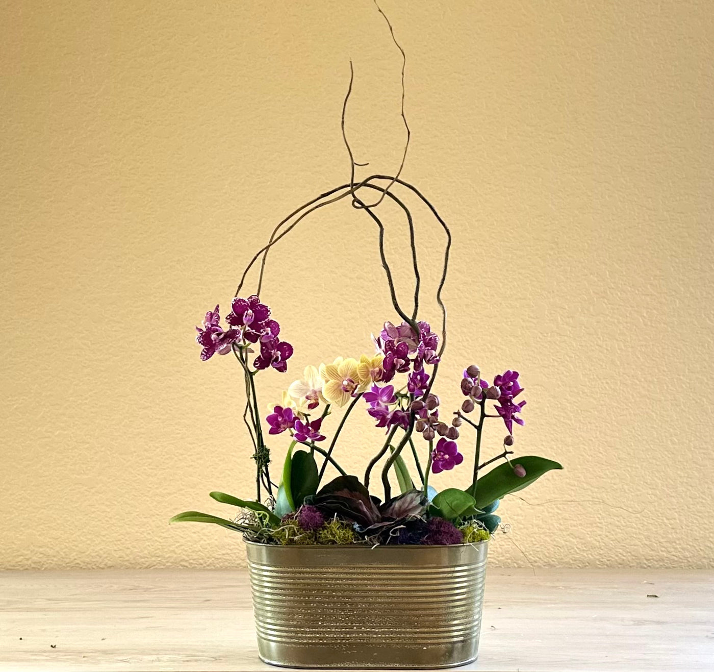 Orchid Garden in Oval Metallic Pot -for same day local delivery