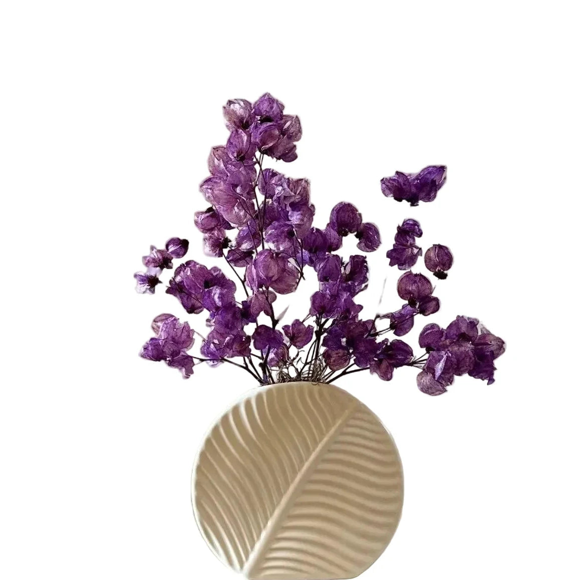 Majesty purple dried flower arrangement in ceramic vase - Real Flowers Every Day 