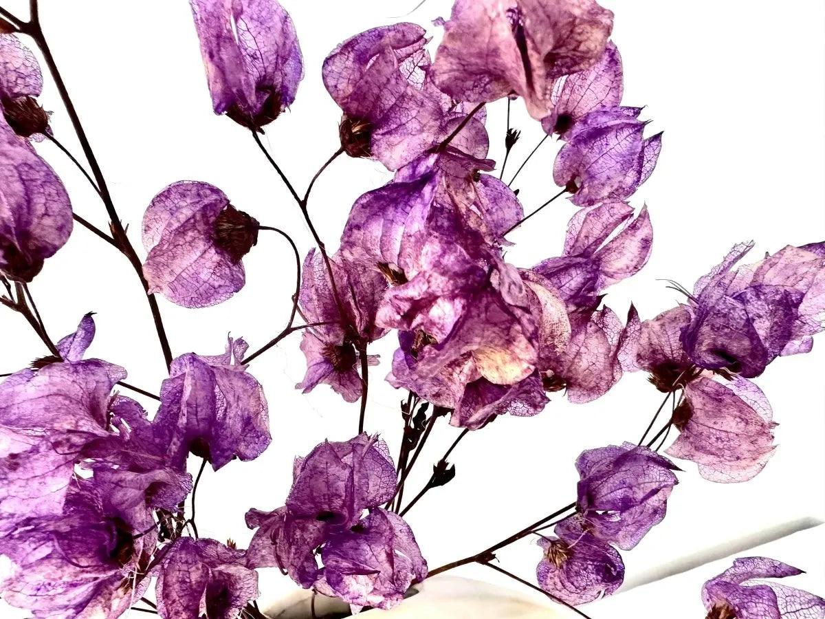 Majesty purple dried flower arrangement in ceramic vase - Real Flowers Every Day 