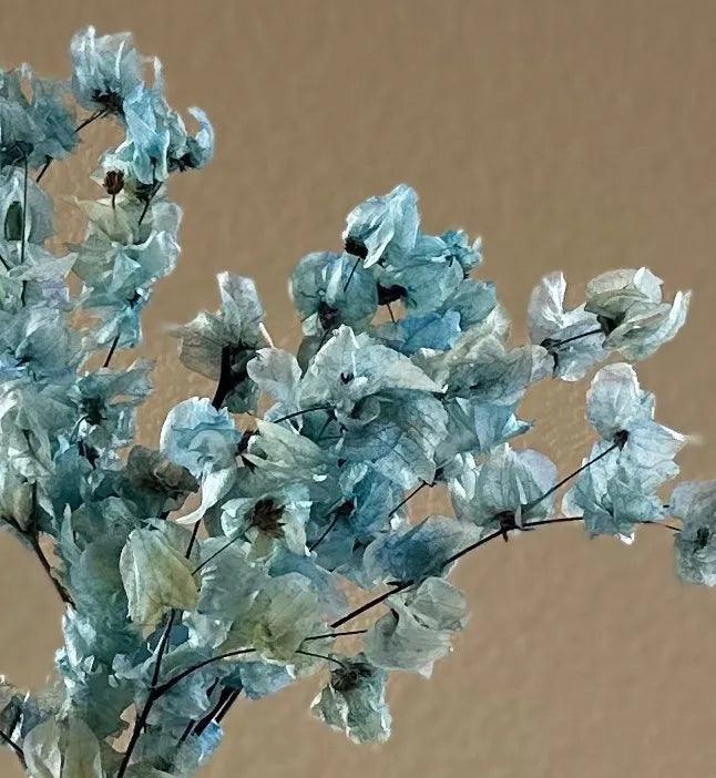 Mo’orea blue arrangement in amber vase - Real Flowers Every Day 