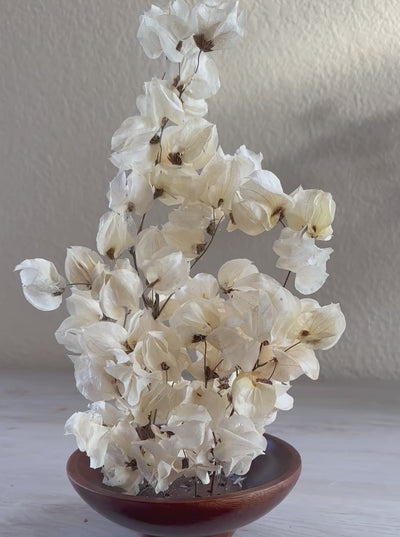 Babylon ivory dried flower arrangement in wood flower bowl
