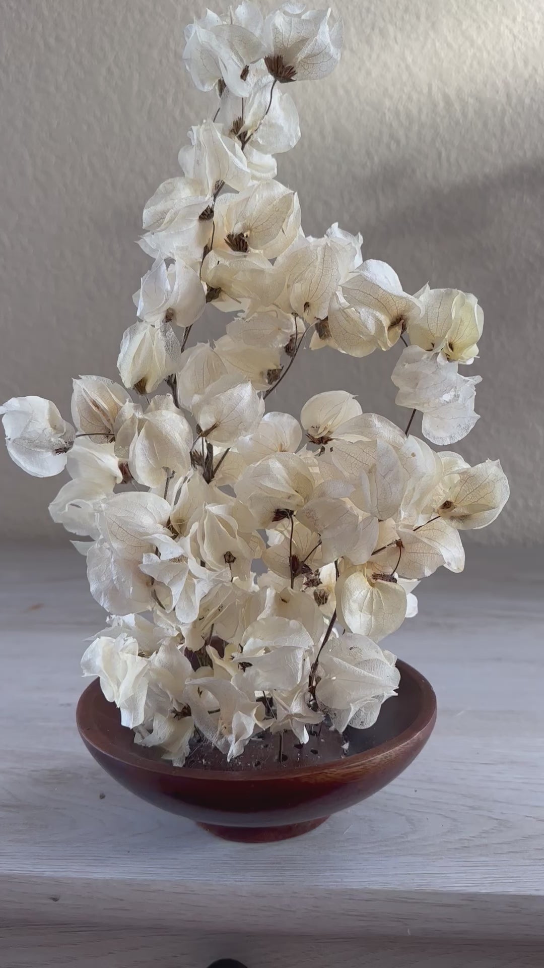 Babylon ivory dried flower arrangement in wood flower bowl