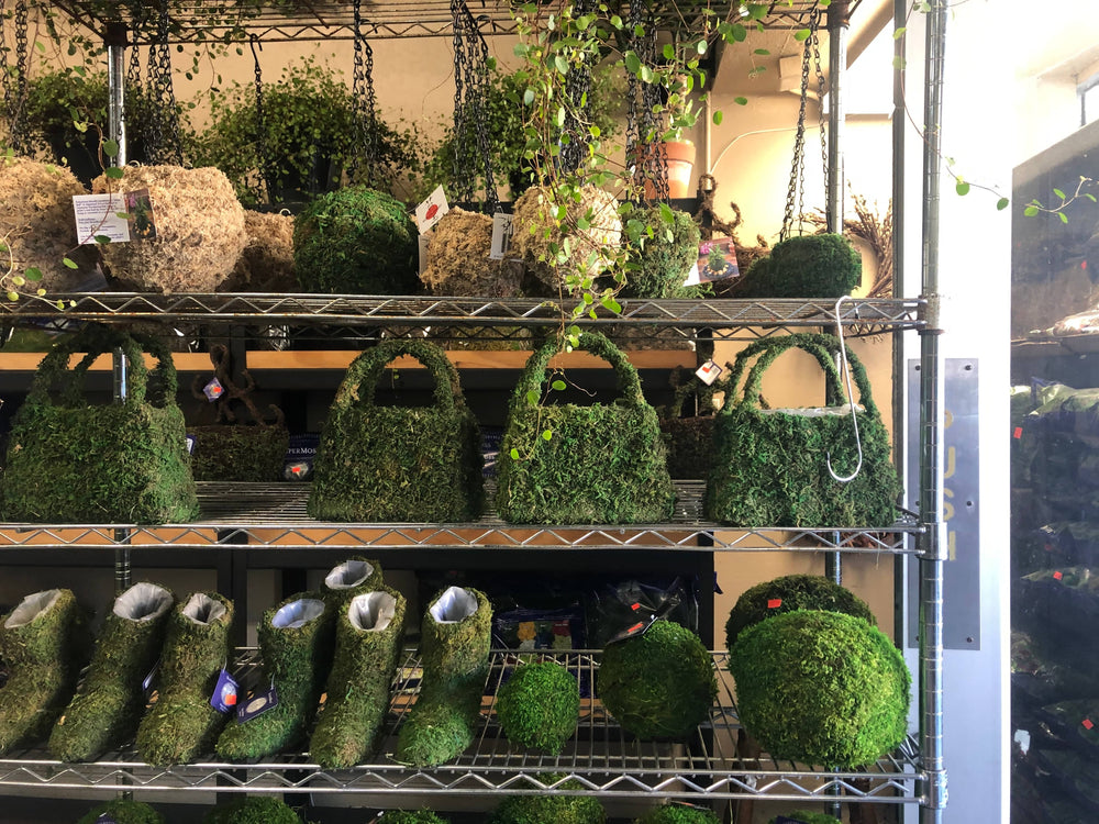 Fall Bouquet in craft tote - Real Flowers Every Day 