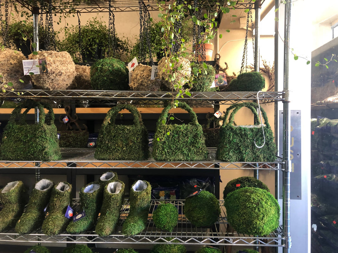 Fall Bouquet in craft tote - Real Flowers Every Day 