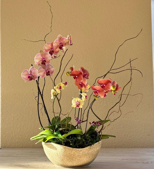 Real Flowers Every Day - One year gift subscription - Real Flowers Every Day 