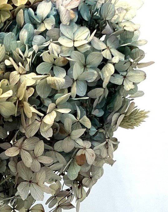 Hydrangea arrangement - Real Flowers Every Day 