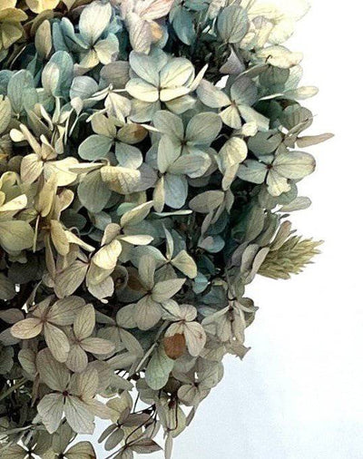 Hydrangea arrangement - Real Flowers Every Day 